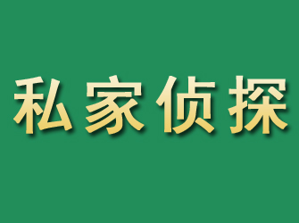 东川市私家正规侦探